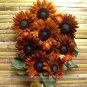 Fresh Terracotta Sunflower 15 Seeds Stunning Colors Pollen Free Lovely Cut Flowers