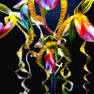Fresh Rare Orchid Seeds