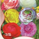 Fresh 25 seeds /pack Mixed Ranunculus AsiaticuPersian Buttercup Perennial s Seeds