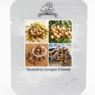 Fresh Guanzhou Longan Fruit Seeds 5 Seeds / Pack Tasty Sweet Fruits