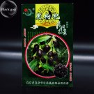 Fresh True Black Goji Lycium Ruthenicum Murray Seeds 30 Fruit Seeds NOT FAKE