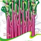 Fresh Red Chinese Kale Vegetable Seeds 40 Seeds/Pack Tasty Brassica Campestris