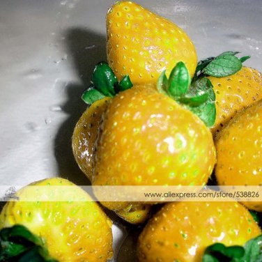 Fresh approx 200 Seeds / Pack Sweet Yellow Alpine Strawberry Seed Fruit