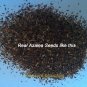 Fresh approx 50 Seeds / Pack F1 Red Azalea Hardy Rhododendron Seeds