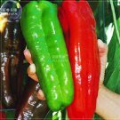 Fresh BELLFARM Giant Pepper Seeds Giant Marconi Hybrid Sweet Pepper Vegetable NF881