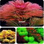 Fresh 1000 Aquarium Seeds Aquatic Particle Aquarium Decoration Pine Tree