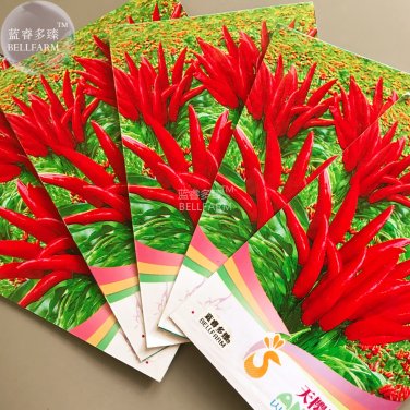 Fresh Fire Red Pod Pepper Chilli Vegetable 20 Seeds tabasco red cluster pepper