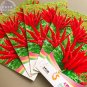 Fresh Fire Red Pod Pepper Chilli Vegetable 20 Seeds tabasco red cluster pepper