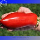 Fresh Rare Russian Giant Pertsevidnyy Pepper Red Long Tomato Seeds 100pcs/pack