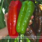 Fresh Giant Marconi Pepper Seeds 100 Seeds/Pack Sweet Long Super Big Pepper