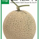 Fresh Korea Sweet Melon Seeds Delicious Hami Melon Muskmelon 10grams seeds / pack