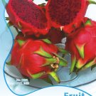 Fresh Hylocereus Undatus Red Dragon Fruit Seeds