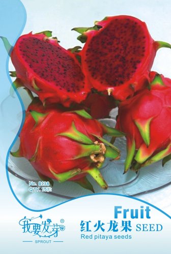 Fresh Hylocereus Undatus Red Dragon Fruit Seeds