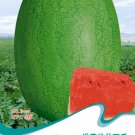 Fresh Light Green Streak Ellipse Big Red Watermelon Seeds