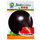 Fresh Super Black Skin Red Seedless Watermelon Organic Seeds