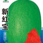Fresh New Super Big Green Red Seedless Watermelon Organic Seeds