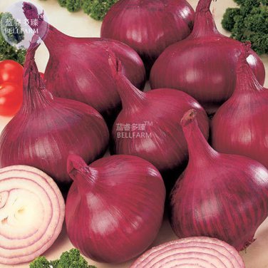 Fresh Onion Red Burgundy Organic Vegetable Seeds