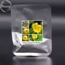 Fresh Paeonia Ludlowii Yellow Red Pink White / F1 Peony Shrub Flower Seeds 5 Seeds