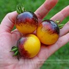 Fresh Very Rare Bumble Bee Heirloom Tomato Seeds