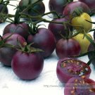 Fresh Chocolate Cherry Tomato Plant Seeds