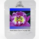 Fresh the World s Rarest Baby Face Orchid Perennial Flower Seeds