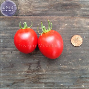 Fresh  Piccolo Cherry Tomato Seeds