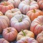 Fresh 100PCS DeeplyRibbed Pumpkin Seeds