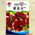 Fresh  Purple Shengnv Indeterminate Tomato Organic Seeds