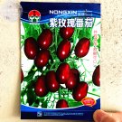 Fresh  Purple Rose Cherry Tomato Organic Seeds