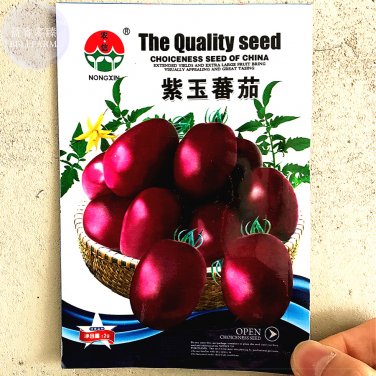 Fresh  Purple Yuh Cherry Tomato Organic Seeds