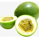 Fresh Passion Fruit (Passiflora edulis) Seeds