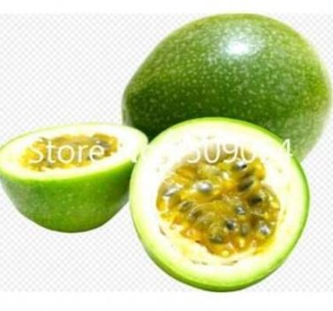 Fresh Passion Fruit (Passiflora edulis) Seeds