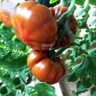 Fresh Chocolate Ruffled Tomato Seeds
