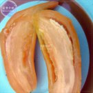 Fresh Tomato Buratinorjs Light Orange Uniquely Shaped Fruit Seeds