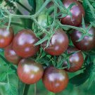 Fresh Tomato Cherry Black Vegetable Seeds