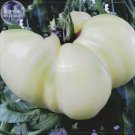 Fresh Tomato Mixed Giant Vegetable Seeds