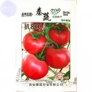 Fresh (for greenhouse) Red Big Tomato Hybrid F1 Seeds