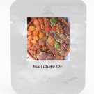 Fresh Mix Lithops Aucampiae Amazing Succulent Plant Seeds NF404