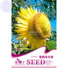 Fresh Sunflowers Cake Type Flower Seeds