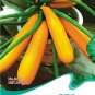 Fresh Yellow Zucchini Summer Squash Cucurbita Pepo Vegetable Seeds