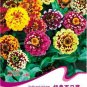Fresh Mix Youth And Old Age Zinnia Elegans Flower Seeds