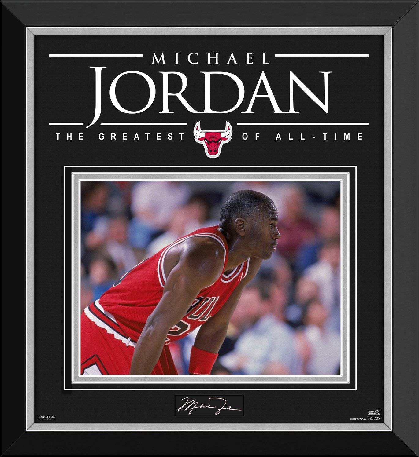 Michael jordan framed pictures