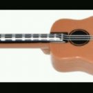 LEGO Part 25975pb01 Minifigure Utensil Guitar Acoustic Black Neck Silver