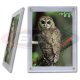 Photo-Post Card Supplies