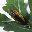 High Quality Cicada Fishing Lure with Hook