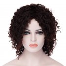 Fluffy Afro Kinky Curly Heat Resistant Capless Wig