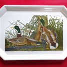 Mallard Ducks Tray Beige Melamine w/ John J. Audubon Print Graphics