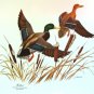 James Lockhart Mallards in Flight Serving Tray Melamine Made in Italy 17&Acirc;&frac12;"x11&Acirc;&frac12;"