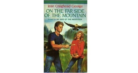 my side of the mountain by jean craighead george summary my side of the mountain by jean craighead george summary