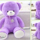 Lavender Cubs Teddy Bear Purple Lavender Hugs Bear Large Plush Toys Event Gift 100cm